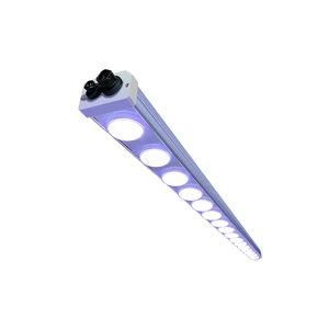 Indoor Grow LED Module Commercial and Home Plant Growing Exhibition Vertical Agriculture Strawberry Grow Light