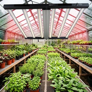 LED GROW LIGHTING