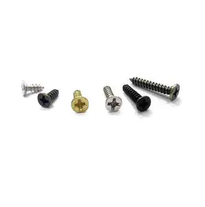 Stainless Steel Self-tapping Screws Custom M2 M3 M4 M5 M6 Self Tapping Fasteners Screws