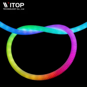 Hot Selling 360 Degree Circular Mesh Neon LED Light Strip Smart RGBIC Flexible Silicon Dream Color Rope Light Strip DC5V WS2812B