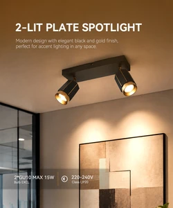 Modern Aluminum Zoomable LED Surface Mount Light 15W 5CCT Adjustable CRI 90 COB LED Wall Spotlights LED Light