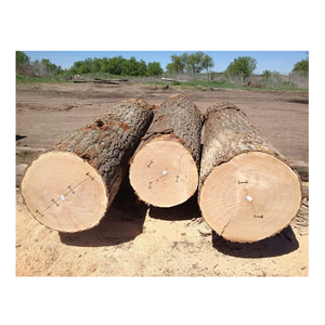 Oak Wood Logs for Furniture/Making - Kiln Dried