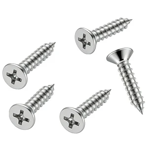 304 Stainless Steel Flat Head Self Tapping Screw for Outdoor and Indoor Use