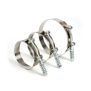 Factory Wholesale Different Type High Strength Adjustable Width Quick Release 316 Stainless Steel T-bolt Hose Clamp