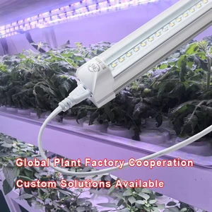 T8 Integration 0.6M/9W Tissue Culture Seedling Plant Light Greenhouse Vegetable Hydroponic LED Grow Light IP44 Rated 3-Year