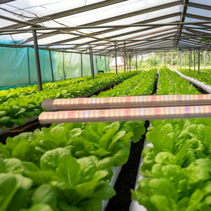 40W Water Proof LED Plant Grow Light Full Spectrum Growth Cycle Shortened by 30% for Vegetable Growth Horizontal Vertical