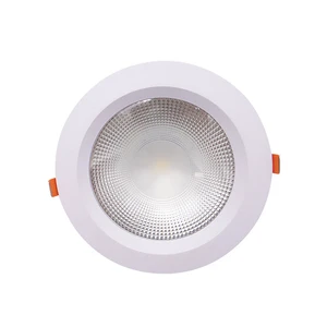 Professional Wholesale AC220V Ceiling Downlights Hotel Home 15W Down Lamp Led Lights Recessed Led Downlight for Indoor Lighting