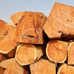 Red Sandalwood Logs From Philippines Agro Manufacturer Standard Specification For Sale