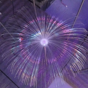 Outdoor Multi-Color Garden Street Courtyard Led Decorative Fiber Optic Light
