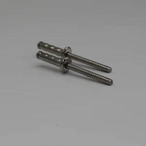 316 Stainless Steel Double-Drum Hollow Rivet