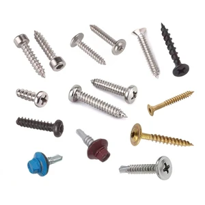 Custom Self Drilling Tapping Metal Screw Stainless Steel Wood Roof Self-tapping Screws Black Self Tapping Screw for Plastic