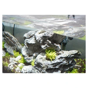 BARREL 10W 11000K 16000K Full Spectrum Aquarium LED Light 100-240V Input Voltage 20,000 Hours Lifespan Reasonable Cost E26 Base
