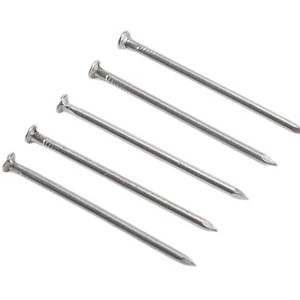 2025 Common Nails Polished Wood Nail for Construction