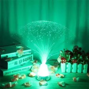 Modern Multicolor Battery Powered LED Fiber Optic Lamp for Holiday Wedding Centerpiece with 3x5mm LEDs