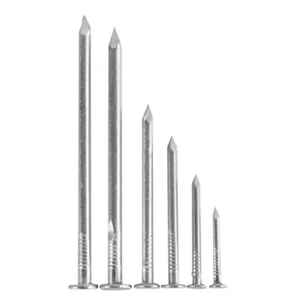 Hot Sale Direct Nail Factory Plant Iron Steel Nail Polished Common Iron Nail
