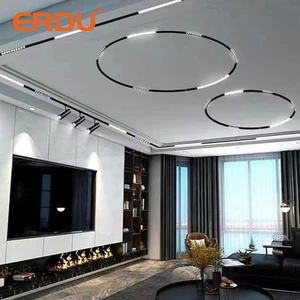 ERDU Round Shape Aluminum Housing Indoor Lighting Track Rail Black Smart Led Magnetic Track Light Fixture