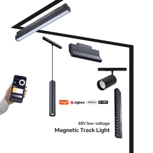 Manufacturer Wholesale Aluminum Track Light Spot DC48V White Black Rail Surface Recessed Pendant Magnetic Dimmable LED
