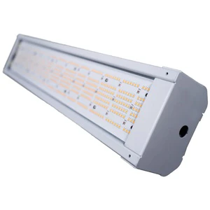 For New Arrival PTU Series Adjustable IP65 Aluminum Commercial LED Grow Lights 320W Bloom for Hydroponic Farming