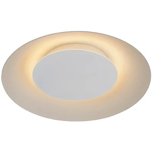 Modern Artist LED Ceiling Lamp Remote Metal Construction for Home Commercial Use Surface Mount Lighting for Bedroom Living Room