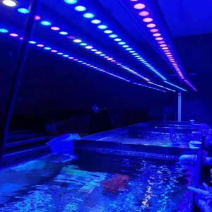 Liweida Full Spectrum LED Aquarium Light New 2FT 3FT 4FT 5FT Timer Dimmer Waterproof Adjustable For Marine Coral Reef Fish Tank