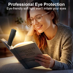 EGH Cheapest Hot Sell New Style Book Light 5 Level Adjustment Clip on Type-c Rechargeable Led Book Lamp for Kids/adult Reading