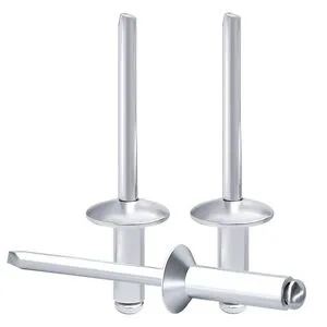 High Quality Solid Flat Head Rivets Wholesale All Sizes Pop Blind Manufactured in Copper Steel Brass DIN Standard