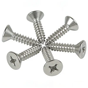 Premium Quality Countersunk Self Tapping Screws for Vietnam Coastal Areas