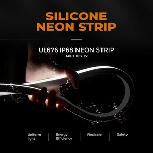 SHINESKY True IP68 Waterproof Flexible LED Neon Flex DC24V Submersible Strip Lights For Underwater Pond And Pool Decor