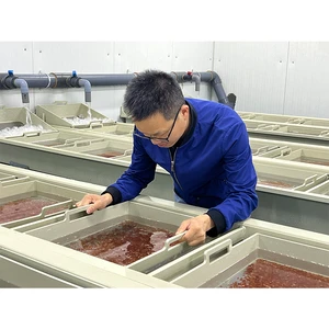 RAS Aquaculture Systems Equipment Indoor Fish Farming Tanks Fish Hatchery Fish Egg Incubatorras Aquaculture Systems