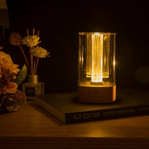 Portable White LED Night Light Dimmable Touch Lamp for Bedrooms Living Rooms With Rechargeable Internal Battery Switch Power