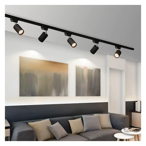 Kommerzielles Modernes Shop Spot Museum Cct Einstellbares Dimmbares Rail Cob Led Track Light