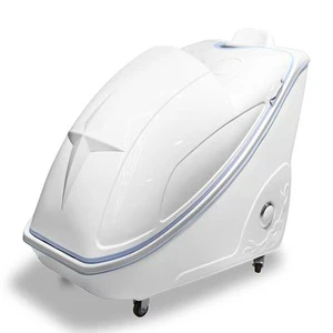 Modern Infrared Ozone Wet Steam Sauna Dome Seat Whitening Photon Light Therapy Spa Capsule Germanium Stone Anti-Puffiness Detox