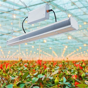650W Full Spectrum LED Grow Light For Greenhouse Indoor Plants Grow