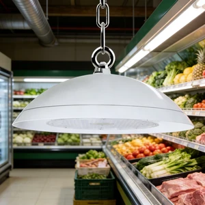 100W UFO LED Food Processing Lighting IP69K Waterproof Dustproof for Food Production Lines Fresh Food Lighting