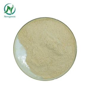 Hot Selling Best Price Food Additive Beta-Amylase Enzyme Powder in Bulk