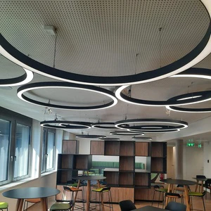 Circular Hanging Pendant Light Modern Chandelier Custom Lighting Fixture