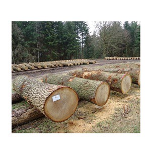 Direct Supplier Of Oak Timber LOGS | Oak Wood Round Logs At Wholesale Price
