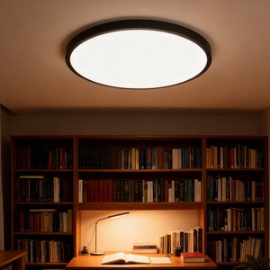Modern Ultra-Thin Surface Mounted Round Remote Control Led Ceiling Lights Modern Home LED Ceiling Lamp For Home Living Room