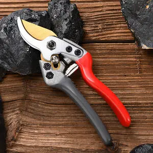 Wholesale Stainless Steel Bonsai Branch Pruners Secateurs Trimmer Tools Lightweight OEM for Gardening Fruit Tree Scissors