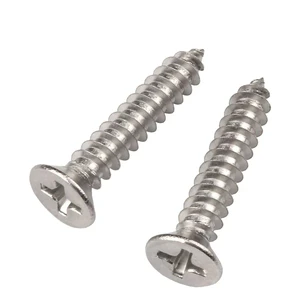 China Manufacturer's Nickel Self-Tapping Screw for Wholesale Metric Measurement System