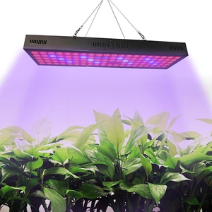 2025 New Arrivals 200W Full Spectrum Aluminum Plant Lamp Indoor Garden Greenhouse LED Light for Flower Cultivation & Bloom