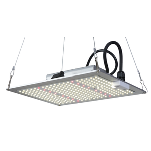 2024 3000k 5000k Full Spectrum 100W LED Grow Light with Aluminum Body IP65 Rated for Plant Growing