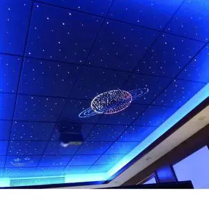 Modern Creative LED Fiber Optic Ceiling Lights Night Sky Star Design IP44 Water-Resistant Wireless Control Dimmable Universal