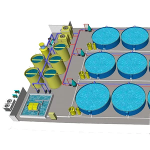 Indoor RAS Fish Farm Aquaculture Equipment For Fish Hatchery