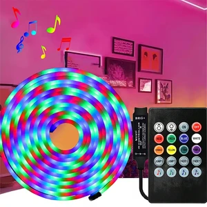 5V RGB LED Neon Light Strip USB Interface Flexible Waterproof IP65 20-key Music Set Indoor Atmosphere Decoration