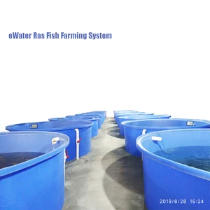 Incubators Hatching Egg Recirculating Aquaculture System Hatchery RAS Vannamei Shrimp Farming System