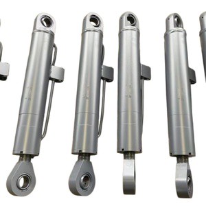Custom Designed Double Acting Steel Hydraulic Cylinder with Hard Chrome Plated Piston Rod and Earring-Type Structure