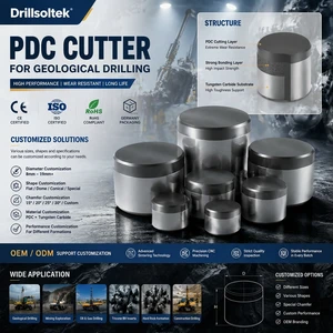 Drillsoltek High Wear Resistance PDC Cutters For Geological Core Drilling Diamond Cutting Inserts For Drill Bit Manufacturing