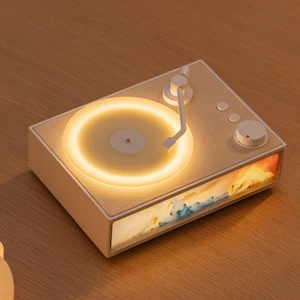 New Design Vinyl Record Speaker Rosemary Series Aromatherapy Diffuser Light Bedroom Decoration Night Light