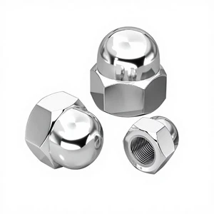 3/8 7/16 1/2 UNC Metric Zinc Plated Thread Stainless Steel 304 Class 8.8 Fully Threaded DIN 1587 Hex Domed Cap Nut Acorn Nuts